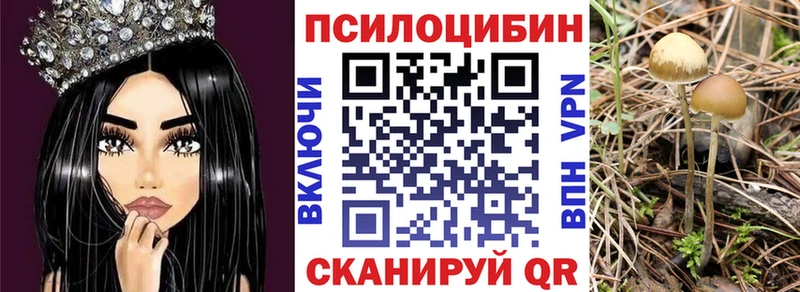 Галлюциногенные грибы ЛСД  Суоярви 